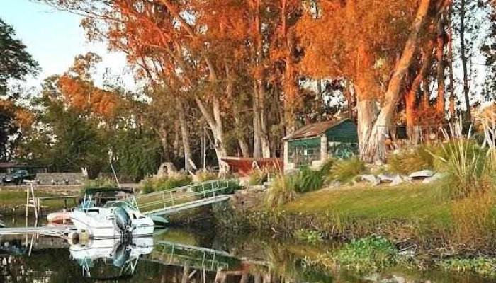 Basta Pedro -  Mas Recientes - Carmelo