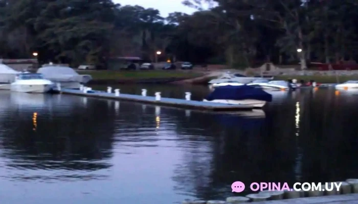 Basta Pedro -  Videos - Carmelo