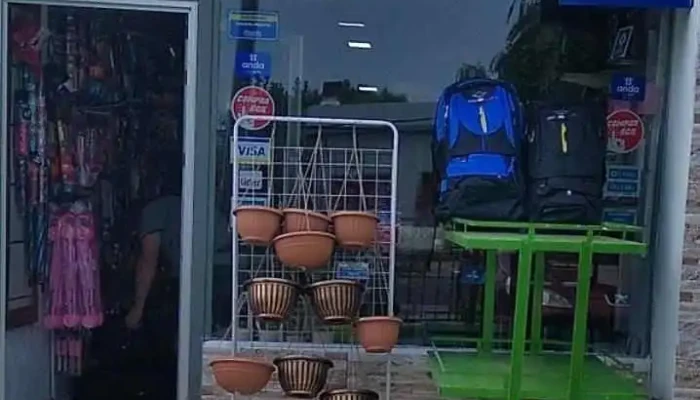 Bazar Cosmos - 45100 Paso De Los Toros