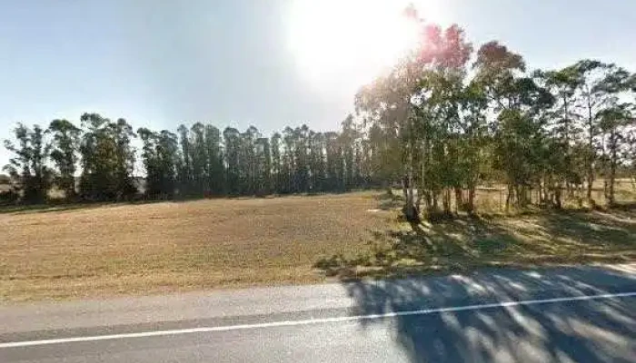 Bazar Maret -  Opiniones - Empalme Olmos