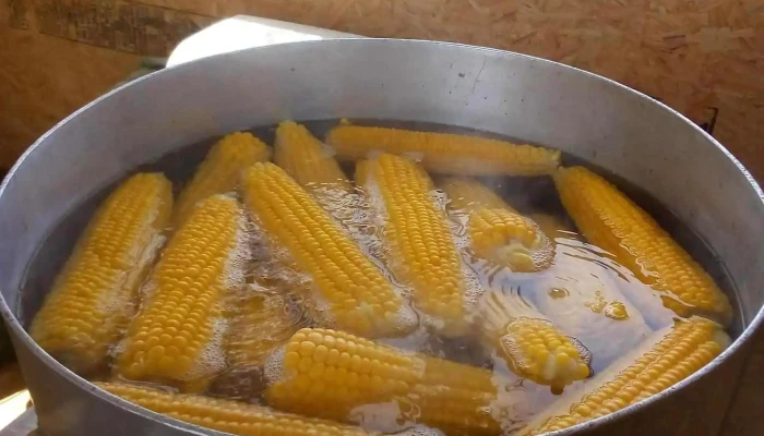 Beach Bar -  Comidas Y Bebidas - Piriápolis