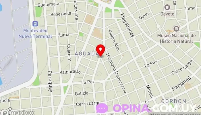 mapa de BeeEnglish Academia de idiomas en Montevideo