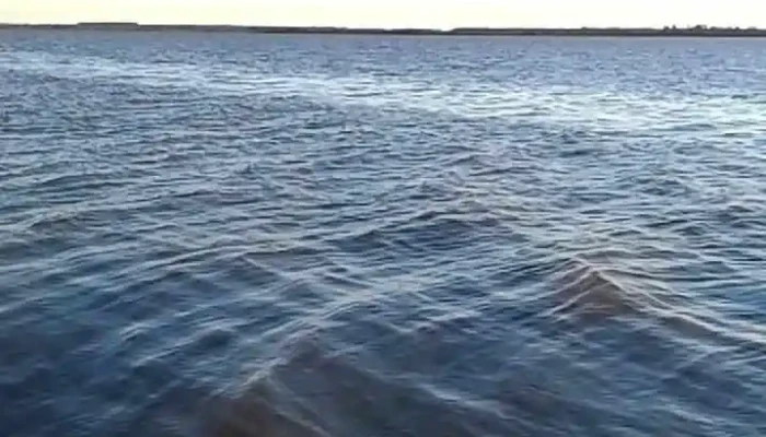 Belen Videos - Belén