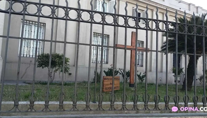 Belvedere -  Todas - Montevideo