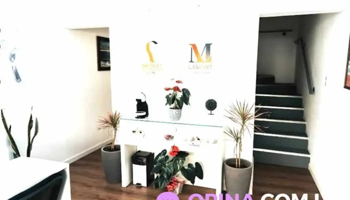 Benoit Audifonos Minas Del Propietario - Minas