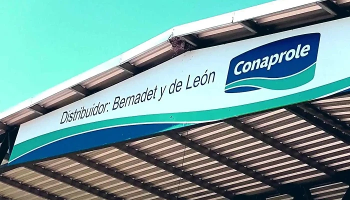 Bernadet Y De Leon Leche Conaprole - 27000 Rocha