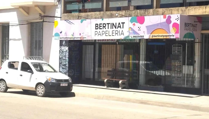 Bertinat Papeleria -  Comentarios - Paysandú
