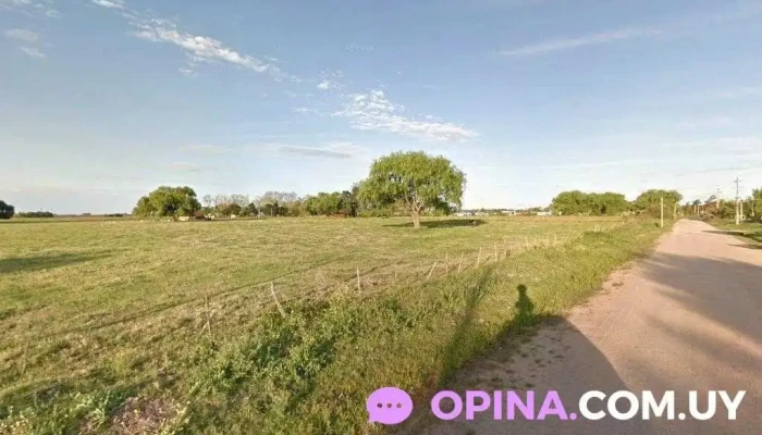 Bet Peinados - 70600 Tarariras