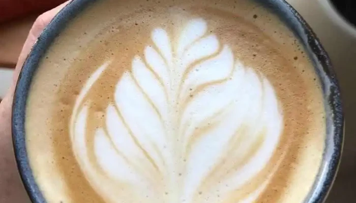 Beula Coffee -  Del Propietario - Rivera