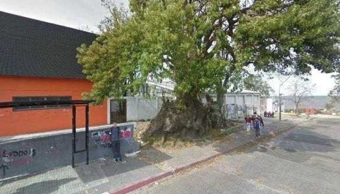 Biblioteca Javier De Viana -  Opinionesdeg - Montevideo