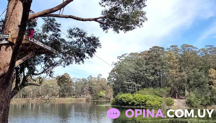 Bilu Videos - Ciudad de la Costa