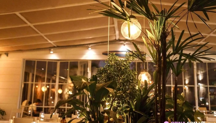 Birra Brava -  Todo - Montevideo