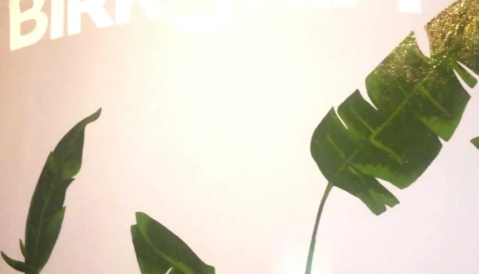 Birreria Los Cerrillos Comentario 5 - Los Cerrillos