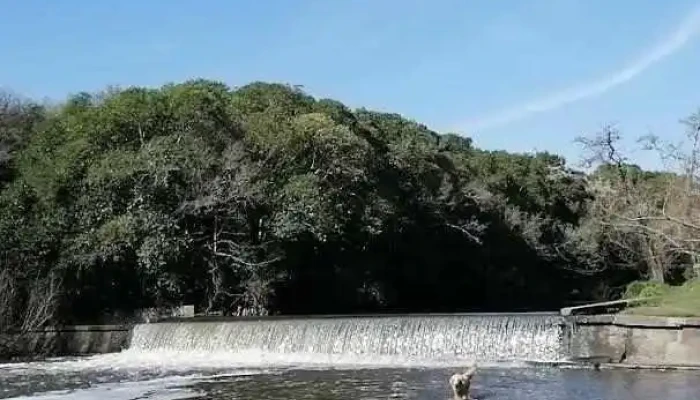 Bizcocheria Sabor Arte Videos - Nueva Helvecia