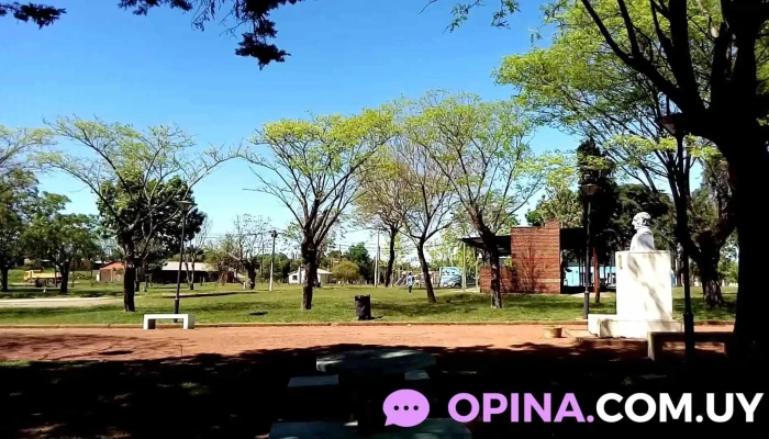 Blanquillo -  Videos - Blanquillo