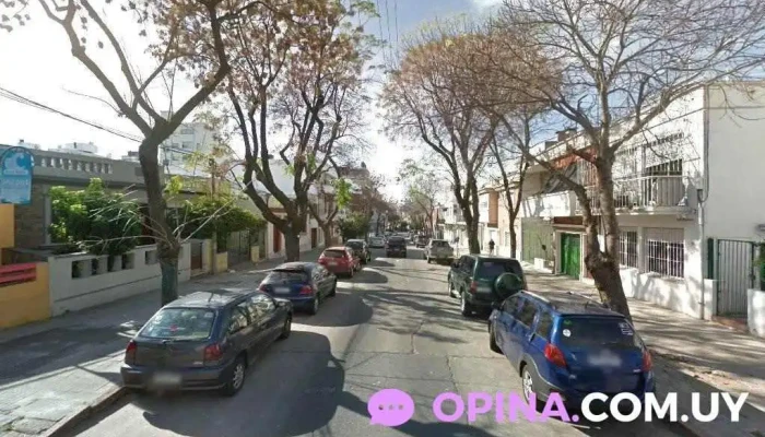 Blue Moon - Jardín de infantes | Centro Educativo de Primera Infancia y Educación Inicial - Montevideo