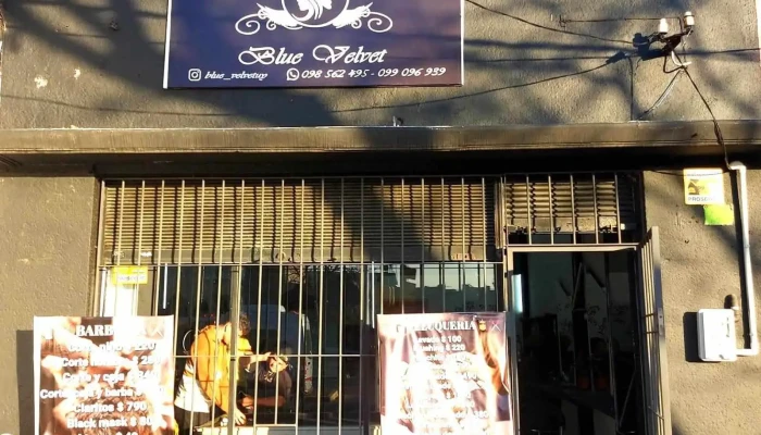 Blue Velvet - 12000 Montevideo