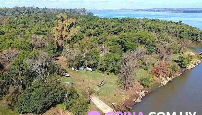 Boca del San Francisco - Nuevo Paysandu