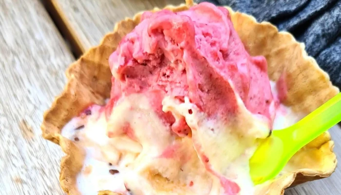 Bocatti Empanadas Cavani Helados Artesanales Comentario 3 - Col. del Sacramento