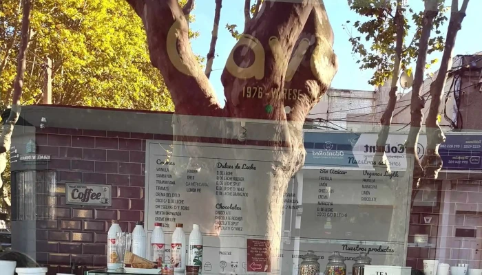 Bocatti Empanadas Cavani Helados Artesanales Comentario 9 - Col. del Sacramento