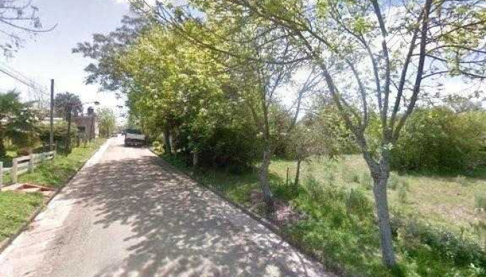 Bochas Cardal -  Todo - Cardal