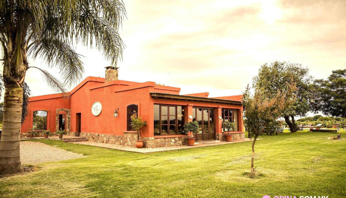 Bodega Boutique El Legado -  Todo - Carmelo