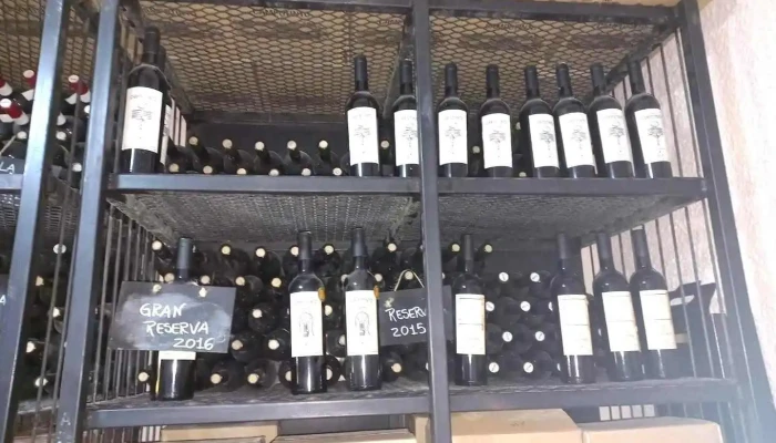 Bodega Campotinto Ambiente - Carmelo