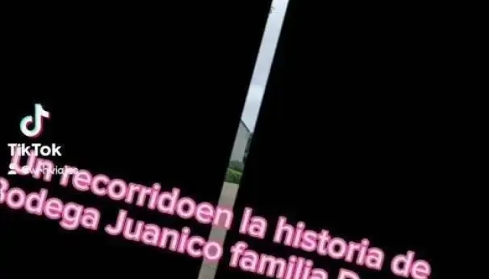 Bodega Familia Deicas -  Mas Recientes - Juanicó