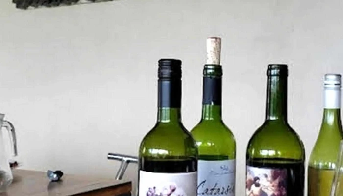 Bodega Pablo Fallabrino -  Precios - Estación Atlántida