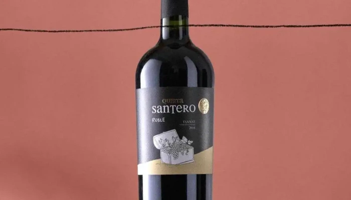 Bodega Quinta Santero - Departamento De Canelones