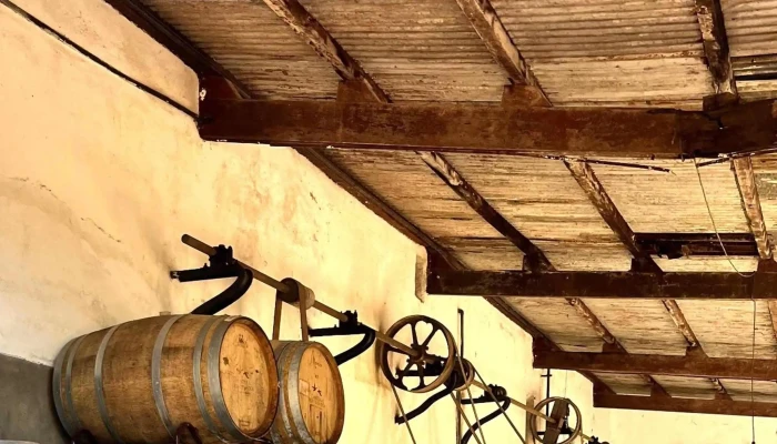 Bodega Spinoglio -  Comentario 3 - Montevideo