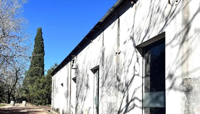 Bodega Spinoglio -  Comentario 4 - Montevideo