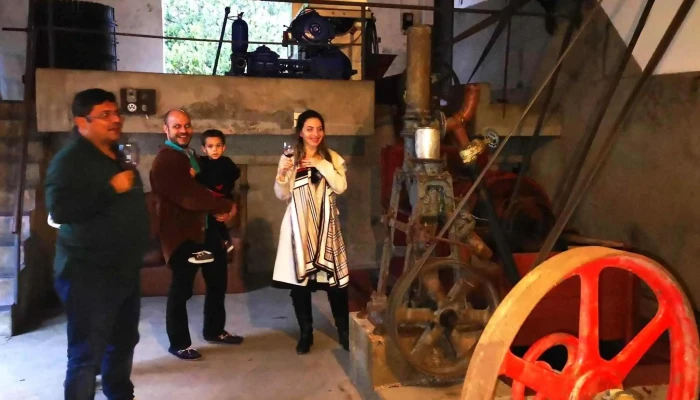 Bodega Spinoglio -  Comentario 5 - Montevideo