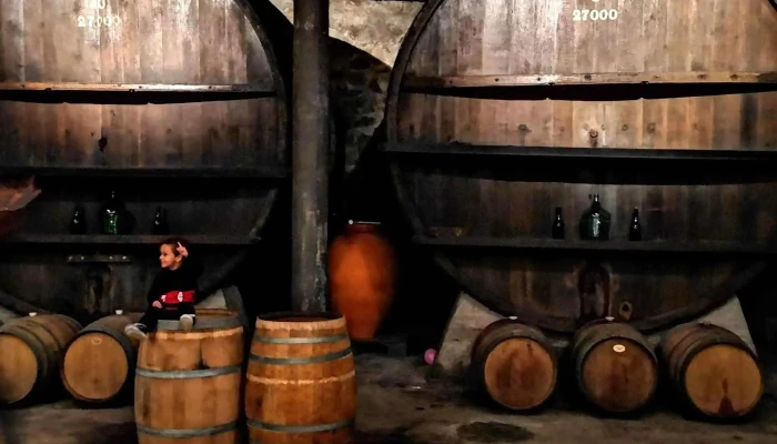 Bodega Spinoglio -  Comentario 6 - Montevideo