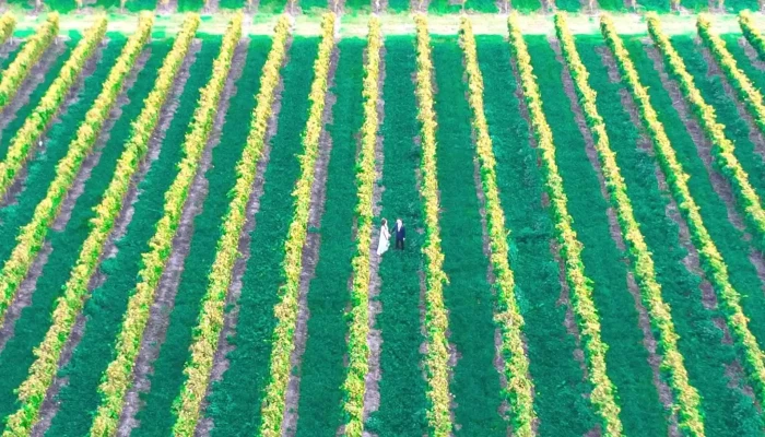 Bodega Spinoglio -  Comentario 8 - Montevideo