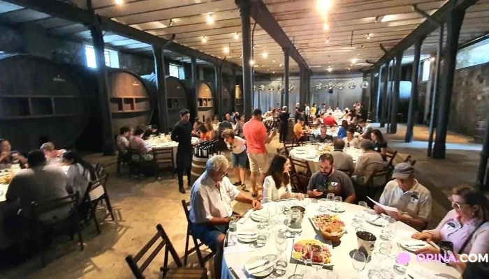 Bodega Spinoglio -  Mesa - Montevideo