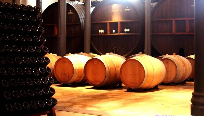 Bodega Spinoglio -  Todo - Montevideo