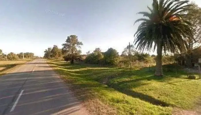 Bodega Villarino -  Todo - Departamento de Canelones