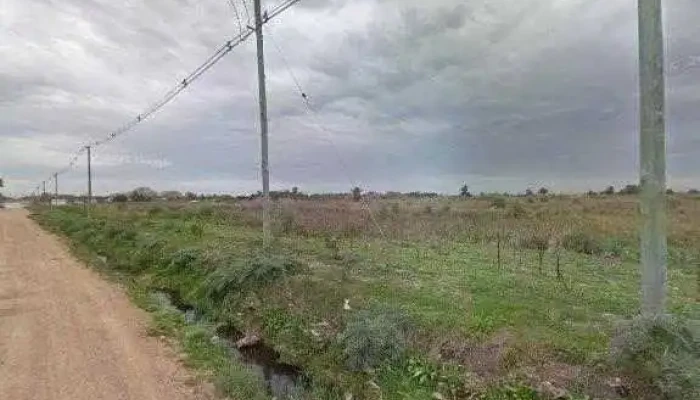 Bodegas De Maio -  Opiniones - Barros Blancos