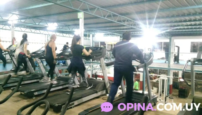 Body Center Maldonado -  Maquina De Ejercicio - Maldonado