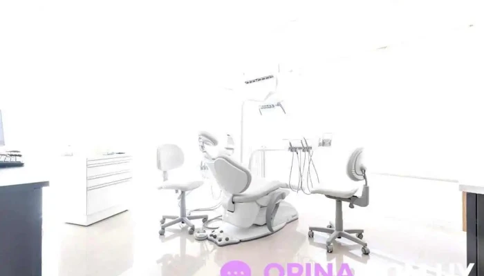 Bogen Odontologia Del Propietario - Montevideo