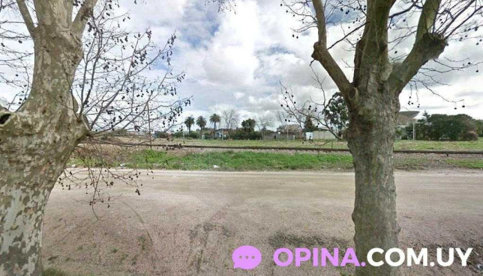 Bonarel - 12200 Montevideo