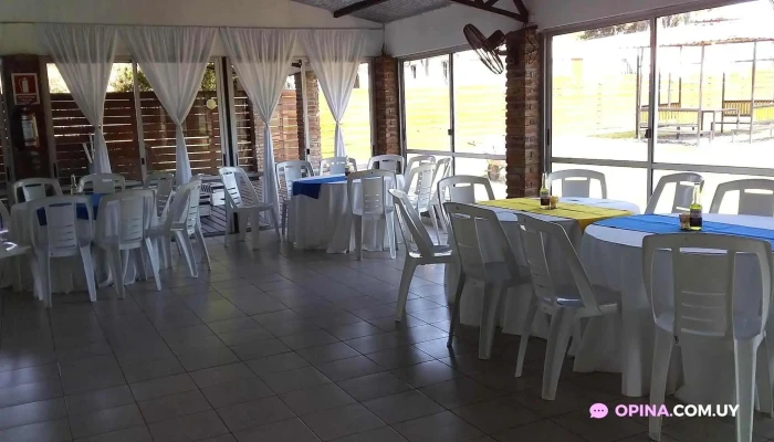 Bonsai -  Ambiente - Salto