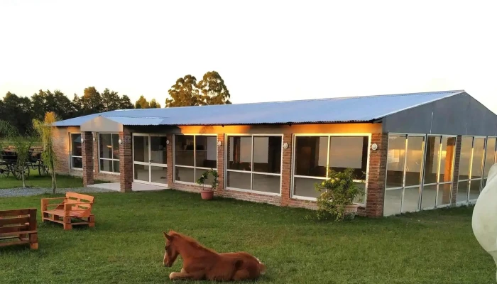 Bonsai -  Comentario 4 - Salto