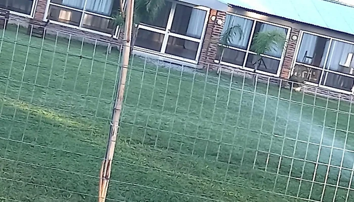 Bonsai -  Comentario 5 - Salto