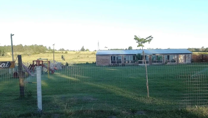 Bonsai -  Comentario 6 - Salto