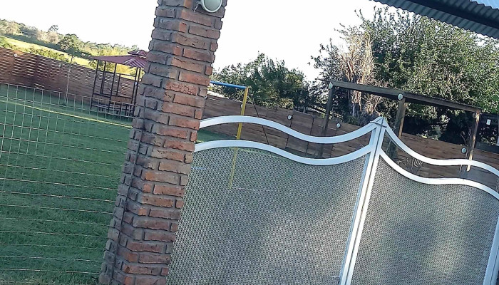 Bonsai -  Comentario 8 - Salto