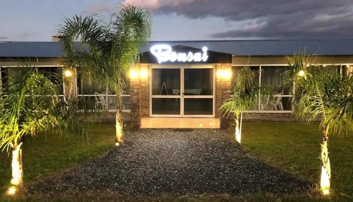 Bonsai -  Todo - Salto