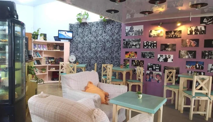 Bonzo Cafe Ambiente - La Paloma