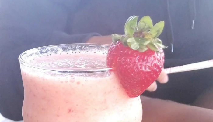 Bonzo Cafe Comentario 3 - La Paloma